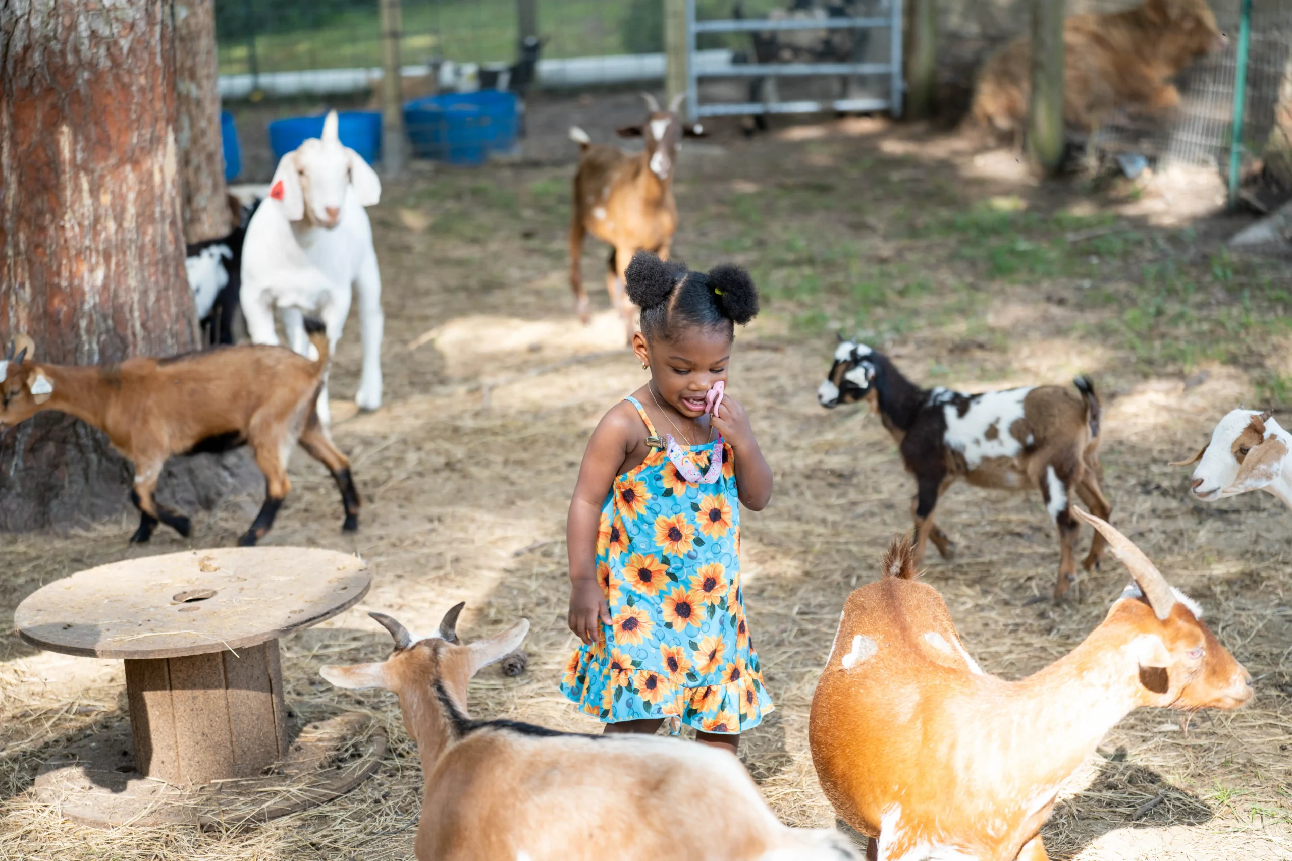 Animal encounter photo op at Inner Peace and Happiness Ranch Coldspring Texas
