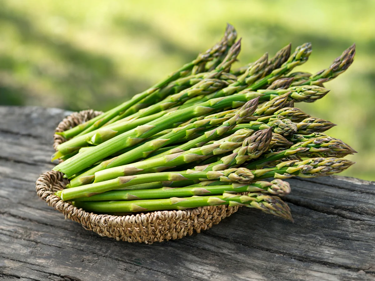asparagus