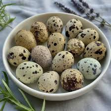 fresh farm quail eggs | inner peace & happiness ranch