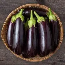 eggplant black beauty