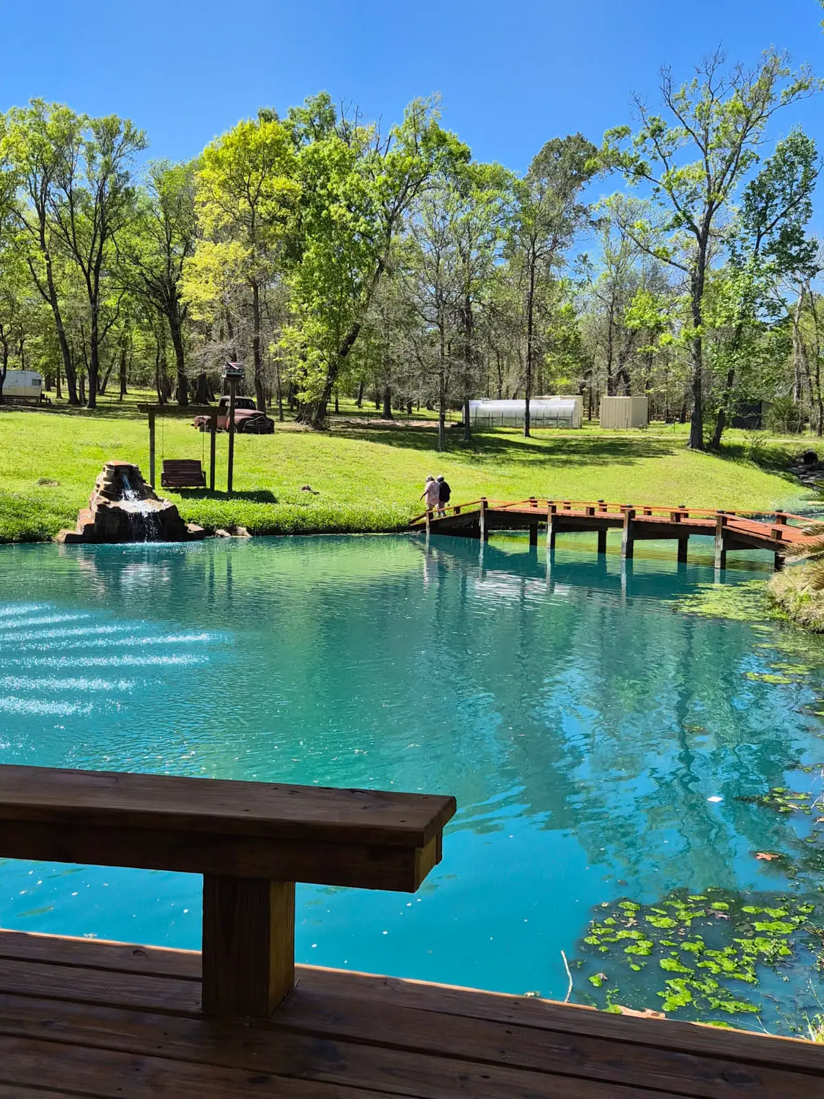 Guests experiencing farm life