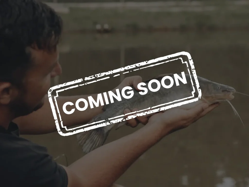 coming soon fish farm