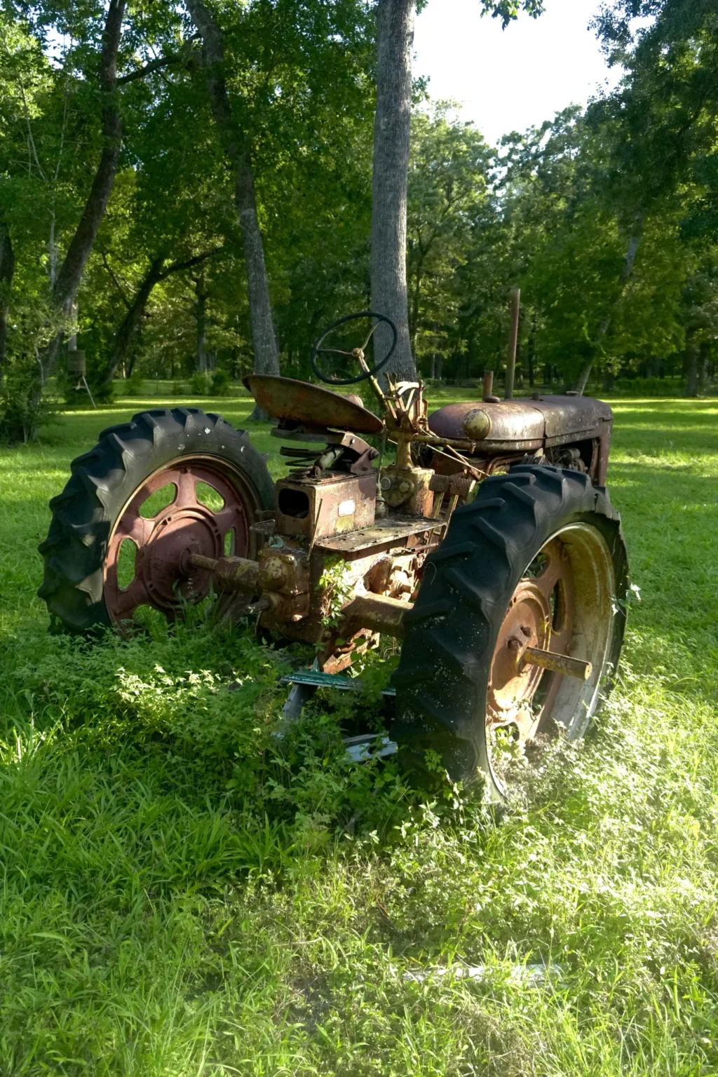 Antique farm tractor at Inner Peace and Happiness Ranch