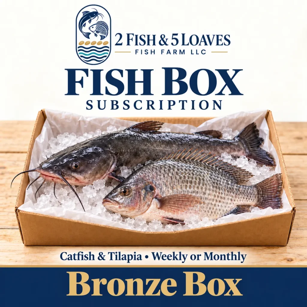 bronze box catfish & tilapia subscription 1