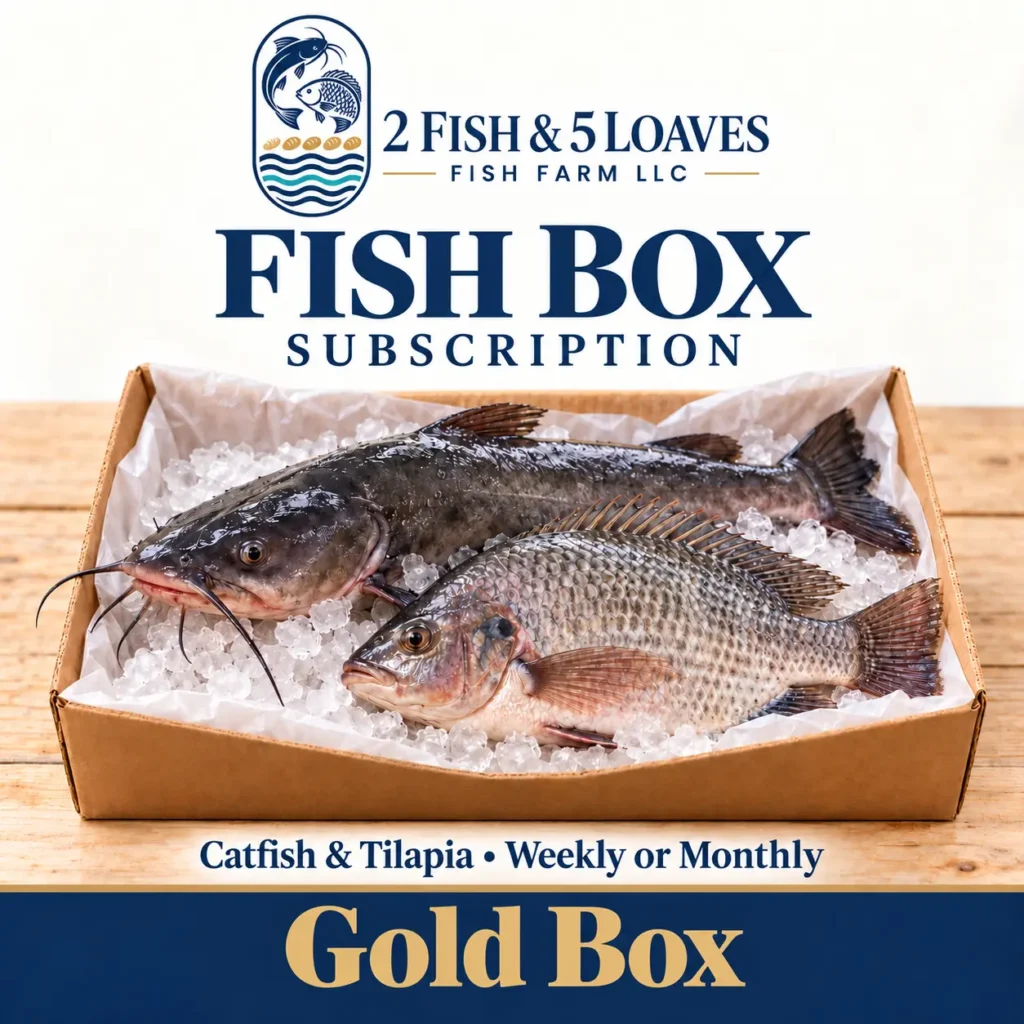 gold box seafood subscription 3
