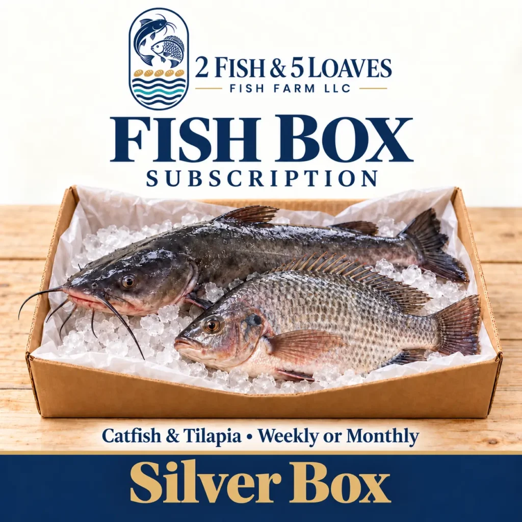 silver box fish subscription 2