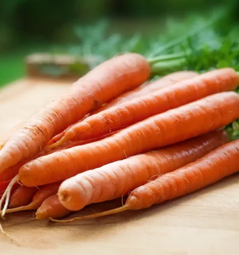 texas-carrots-farm