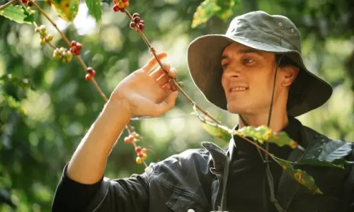 texas-farm-fresh-mushrooms