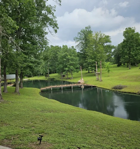 texas-heirloom-tomatoes