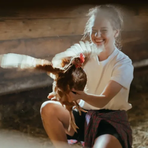 texas-homestead-farm