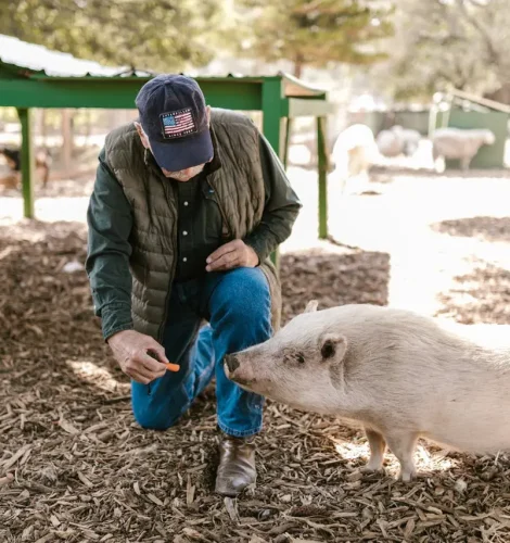 texas-local-food-producer