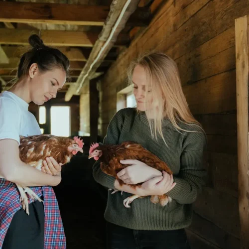 texas-natural-ranch-products