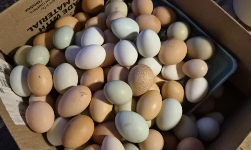 texas-private-event-venue