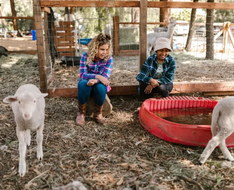 texas-small-batch-honey